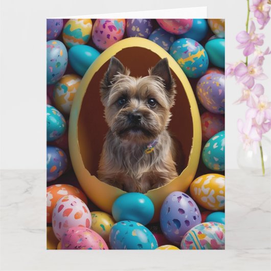 Cairn Terrier Ostereier Karte (Orchidee)