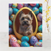 Cairn Terrier Ostereier Karte (Gelbe Blume)
