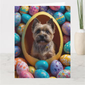 Cairn Terrier Ostereier Karte (Vorderseite)