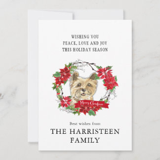 Cairn Terrier Poinsettia Wreath Feiertagskarte