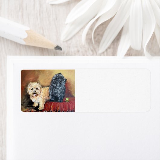 Cairn Terrier Portrait (Insitu)