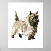 Cairn Terrier Poster (Vorne)