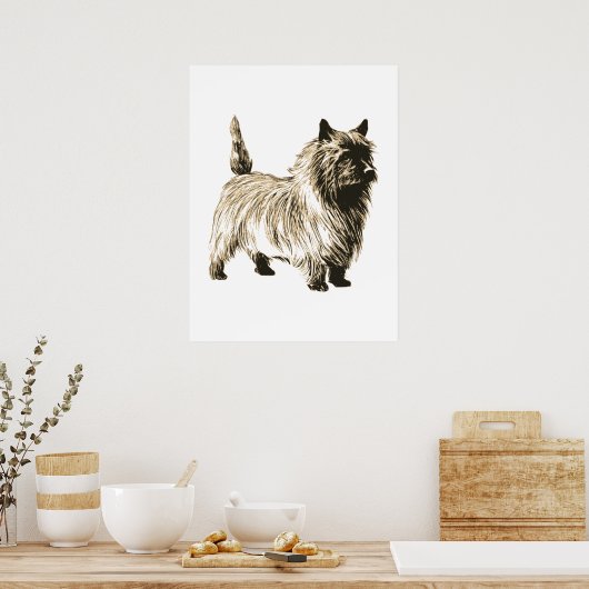 Cairn Terrier Poster (Küche)
