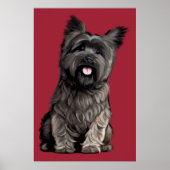 Cairn Terrier Poster (Vorne)