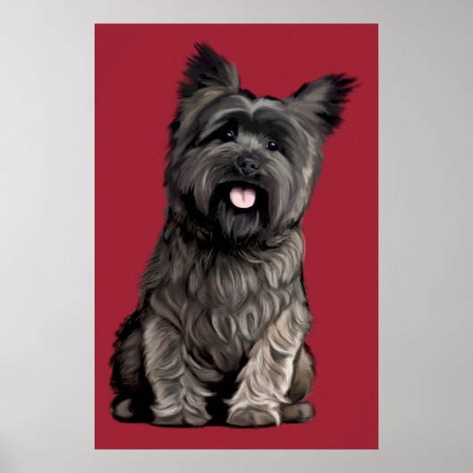 Cairn Terrier Poster (Vorne)