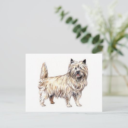 Cairn Terrier Postkarte (Stehend Vorderseite)