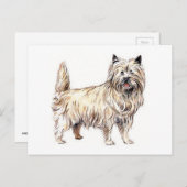 Cairn Terrier Postkarte (Vorne/Hinten)