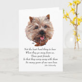 Cairn Terrier Rainbow Bridge Karte (Gelbe Blume)