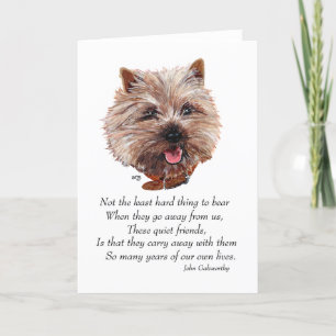 Cairn Terrier Regenbogenbrücke Karte