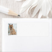 Cairn Terrier Rücksendeadresse (Insitu)