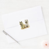 Cairn Terrier Runder Aufkleber (Umschlag)