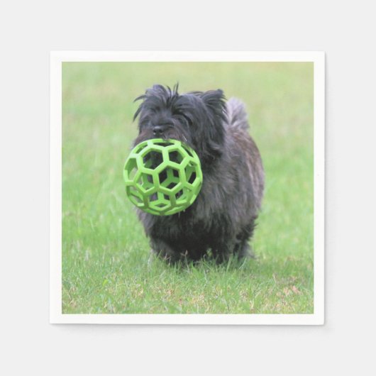 Cairn Terrier Serviette (Vorderseite)