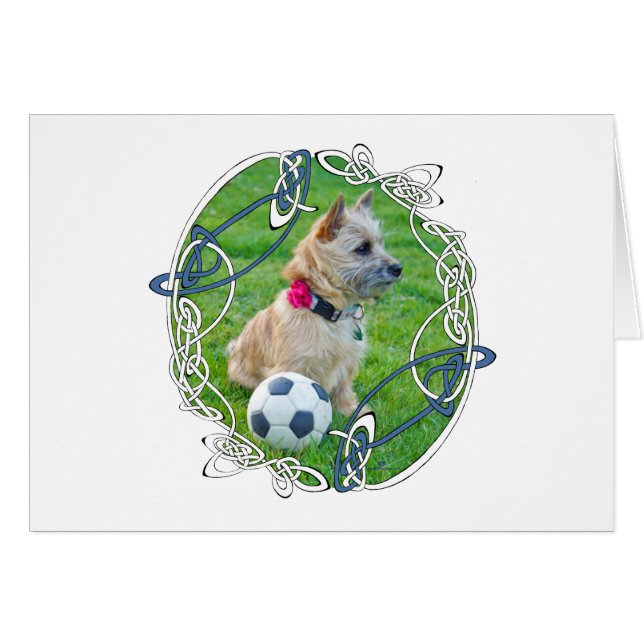 Cairn Terrier Soccer (Vorderseite (Horizontal))