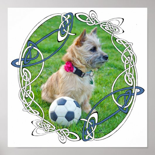 Cairn Terrier Soccer Poster (Vorne)