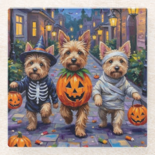 Cairn Terrier Trick-oder-Treating Halloween-Kostüm Glasuntersetzer