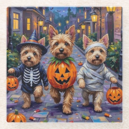 Cairn Terrier Trick-oder-Treating Halloween-Kostüm Glasuntersetzer (Vorderseite)