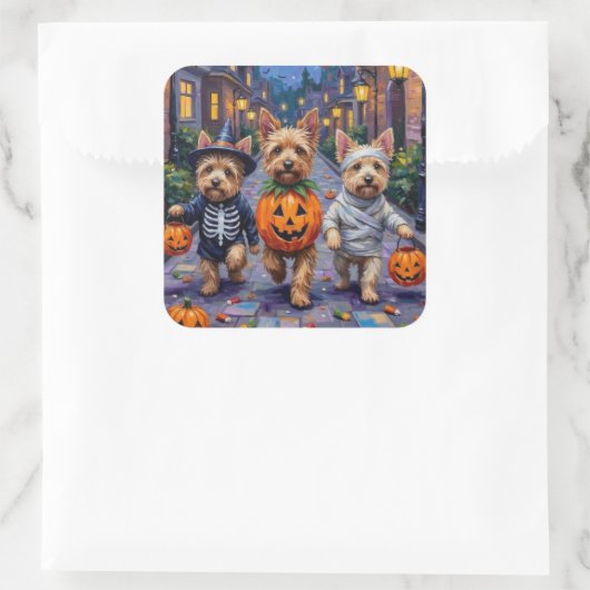 Cairn Terrier Trick-oder-Treating Halloween-Kostüm Quadratischer Aufkleber (Tasche)
