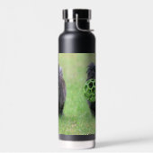 Cairn Terrier Trinkflasche (Links)