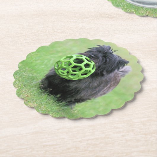 Cairn Terrier Untersetzer (angewinkelt)