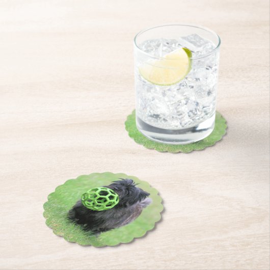 Cairn Terrier Untersetzer (Vor Ort)