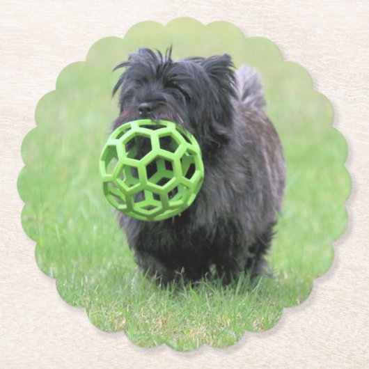 Cairn Terrier Untersetzer (Vorderseite)