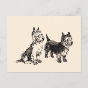 Cairn-Terrier Vintage Feder & Tinte Postkarte