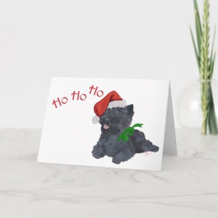Cairn Terrier Weihnachten
