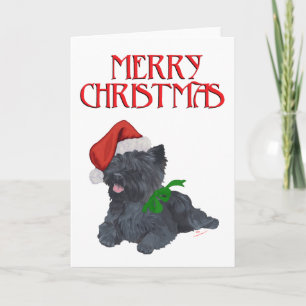 Cairn Terrier Weihnachten