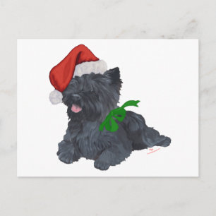 Cairn Terrier Weihnachten