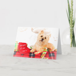 Cairn Terrier Weihnachtskarte Feiertagskarte