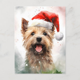 Cairn Terrier Weihnachtsmalerei Postkarte