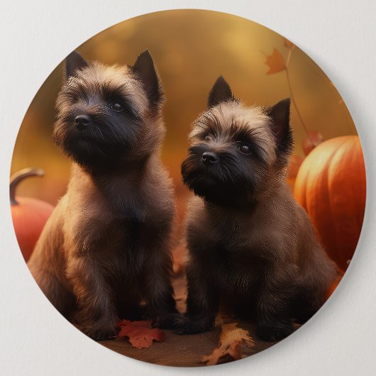 Cairn Terrier Welpe Herbst Kürbis Button (Vorderseite)