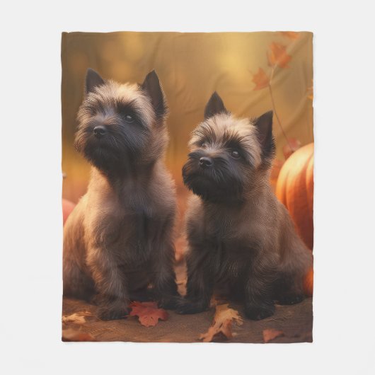 Cairn Terrier Welpe Herbst Kürbis Fleecedecke (Vorderseite)