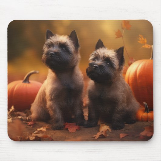 Cairn Terrier Welpe Herbst Kürbis Mousepad (Vorne)