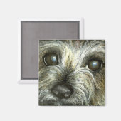 Cairn Terrier Welpe Magnet (Vorderseite/Rückseite)