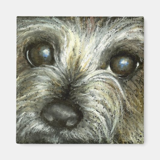Cairn Terrier Welpe Magnet (Vorne)