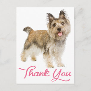 Cairn Terrier Welpenhund Danke Rosa Postkarte