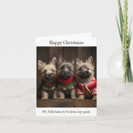 Cairn Terrier Welppies Weihnachtskarte Karte