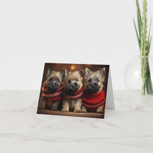 Cairn Terrier Welppies Weihnachtskarte Karte (Vorderseite)