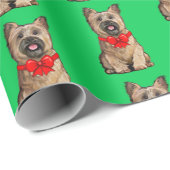 Cairn Terrier Wheaten in einem Weihnachtsjunge Geschenkpapier (Rolleneckpunkt)