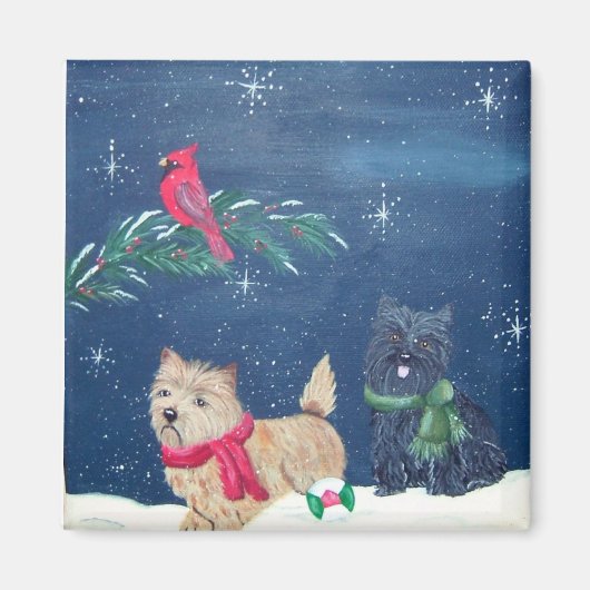 Cairn Terrier Winter Magnet (Vorne)