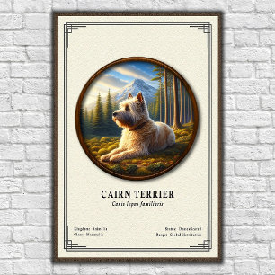 Cairn Terrier Zoologie-Serie Poster