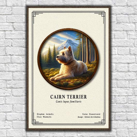 Cairn Terrier Zoologie-Serie Poster