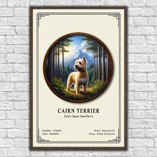 Cairn Terrier Zoology Series Poster