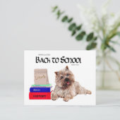 Cairn Terrier zurück zur Schule Postkarte (Stehend Vorderseite)