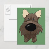 Cairn Terriers (Cairn Terrier) Postkarten (Vorne/Hinten)