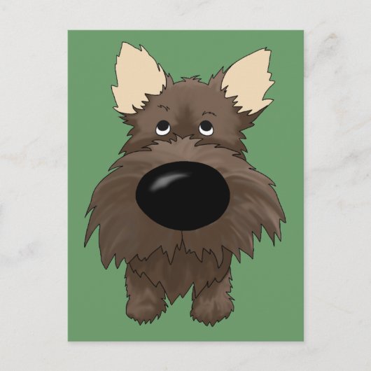 Cairn Terriers (Cairn Terrier) Postkarten (Vorderseite)