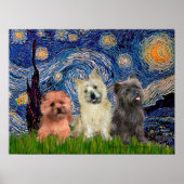 Cairn Terriers (drei) - Starry Night Poster (Vorne)