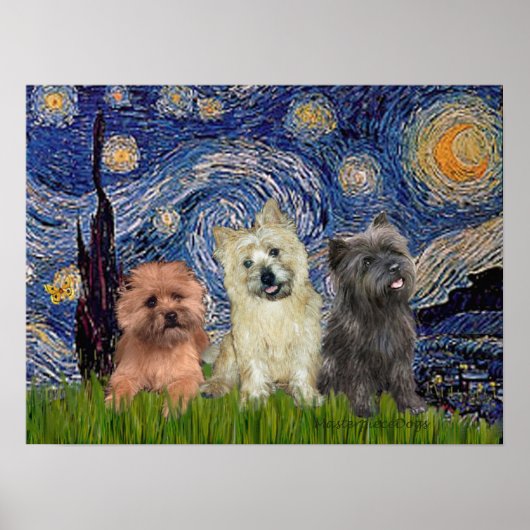 Cairn Terriers (drei) - Starry Night Poster (Vorne)