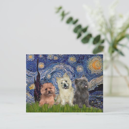 Cairn Terriers (drei) - Starry Night Postkarte (Stehend Vorderseite)